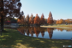 公園