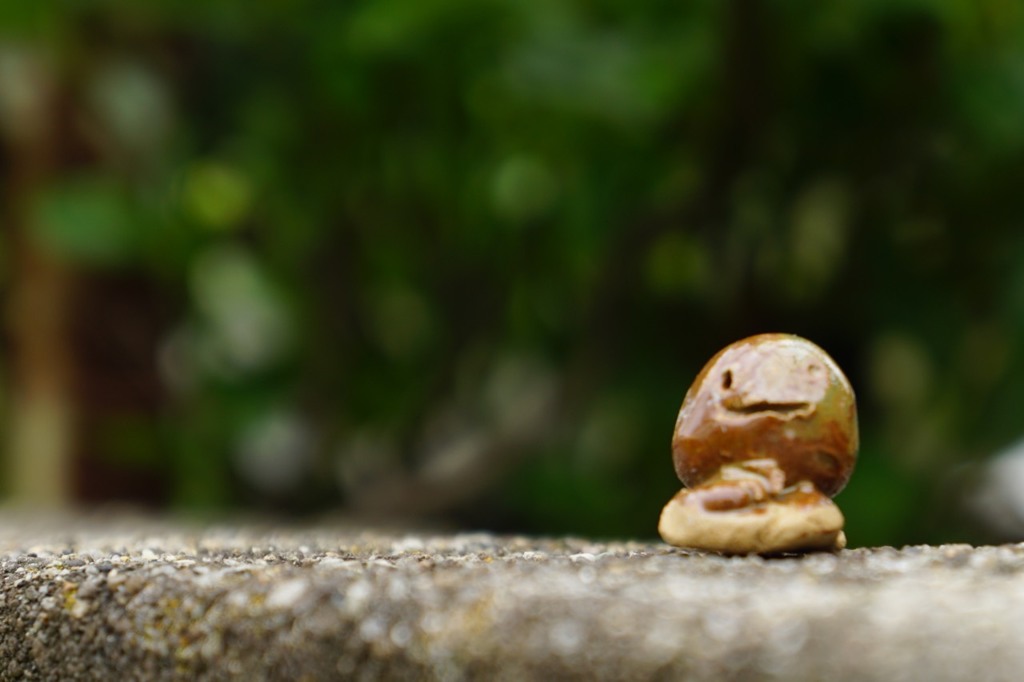 image人気者です