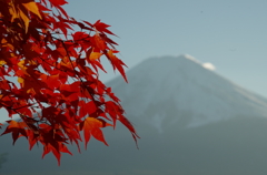 富士と紅