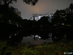 日比谷公園　心学池