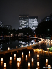 日比谷公園　アカリテラス