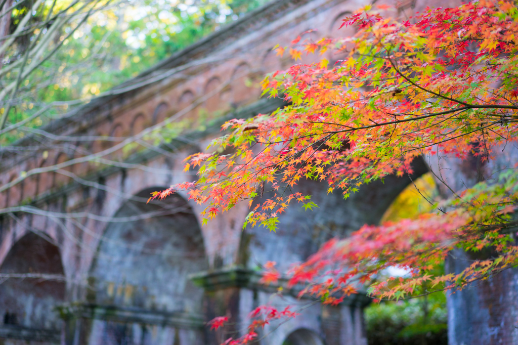 秋の南禅寺