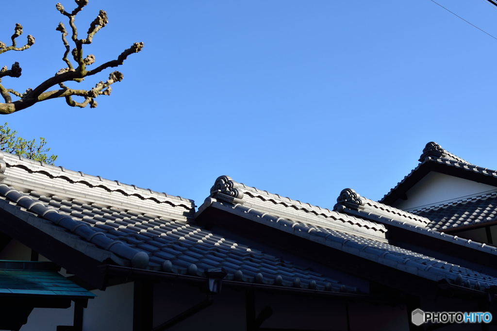 甍の波と♪