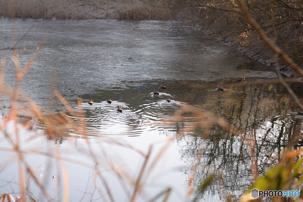 さて、どうする！
