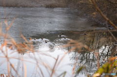 さて、どうする！