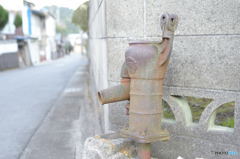 かくれんぼ