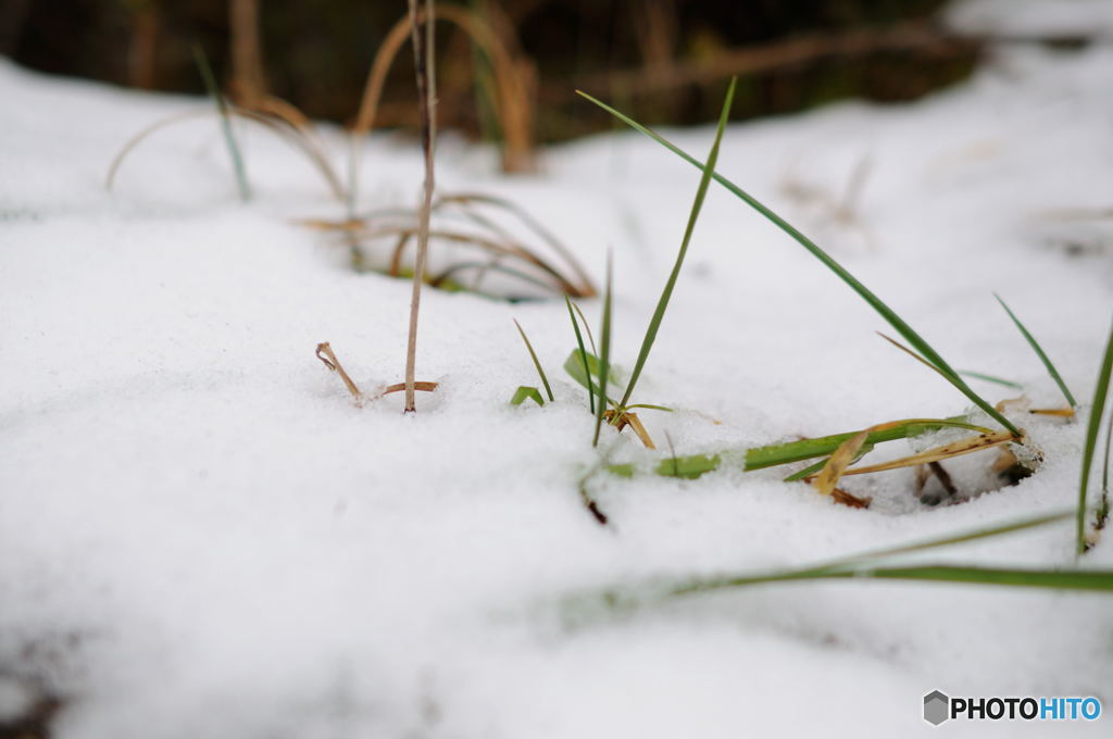 ちょっとだけ雪見