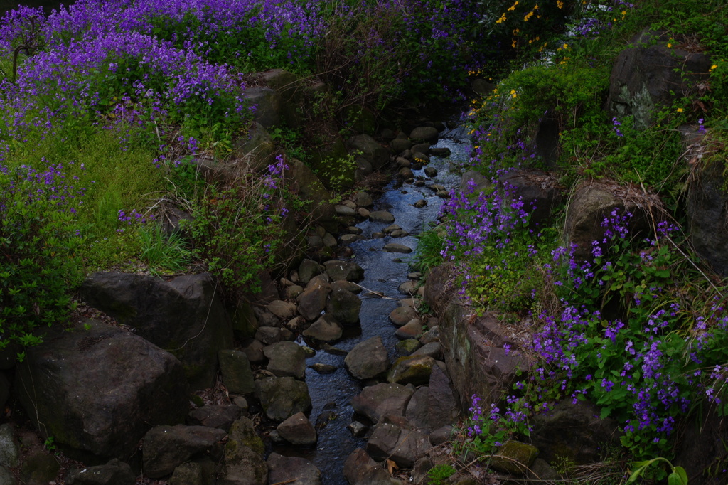 春の小川
