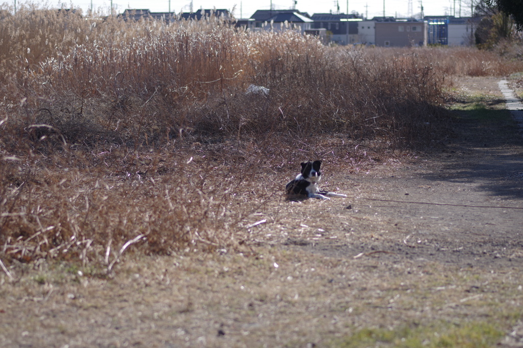 あの頃