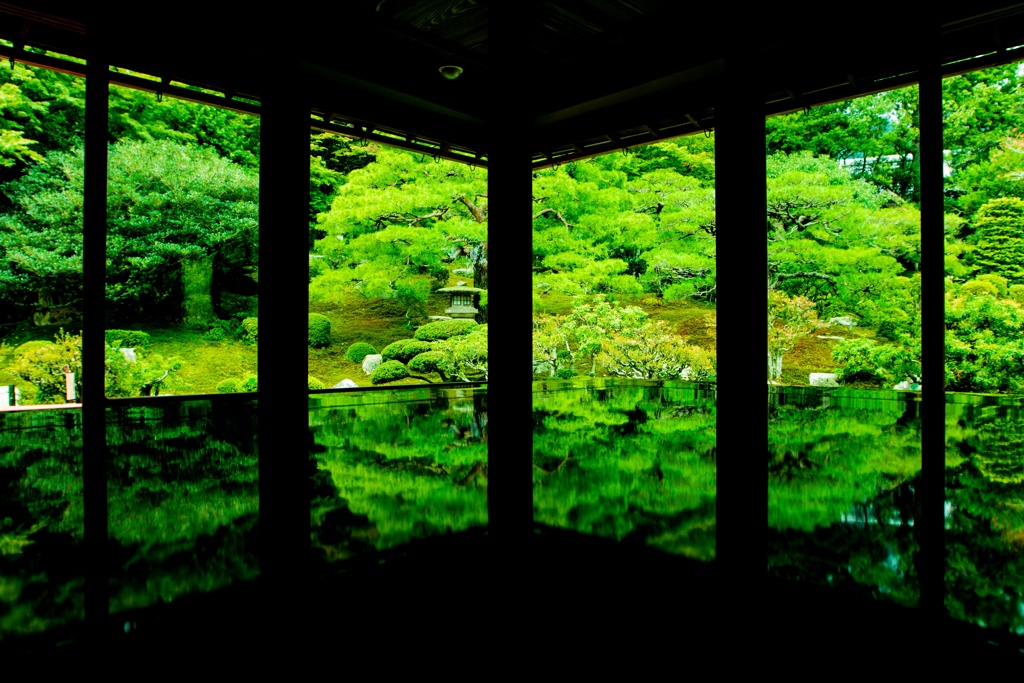 紅葉前の旧竹林院