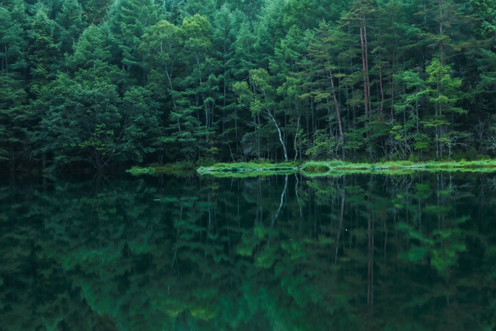 水面