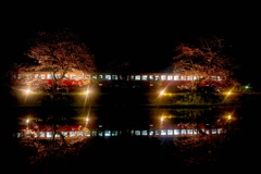 さくらの駅