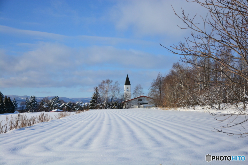 塔が見守る雪ばたけ(^○^)