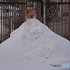 雪山登山‼︎