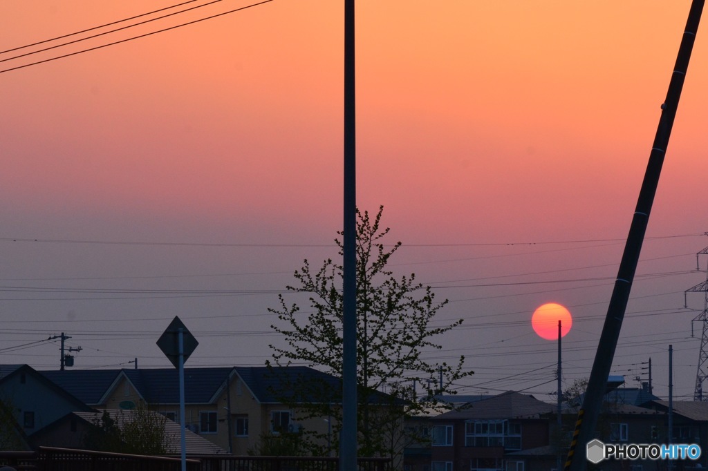 太陽に吠えろ”