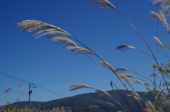 秋そよぐ２・・・