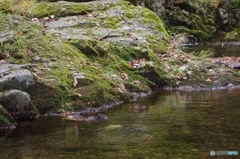 紅葉ドライブ　オタルナイ川