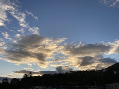 朝もすでに秋らしく…