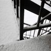 粉雪の朝・・・