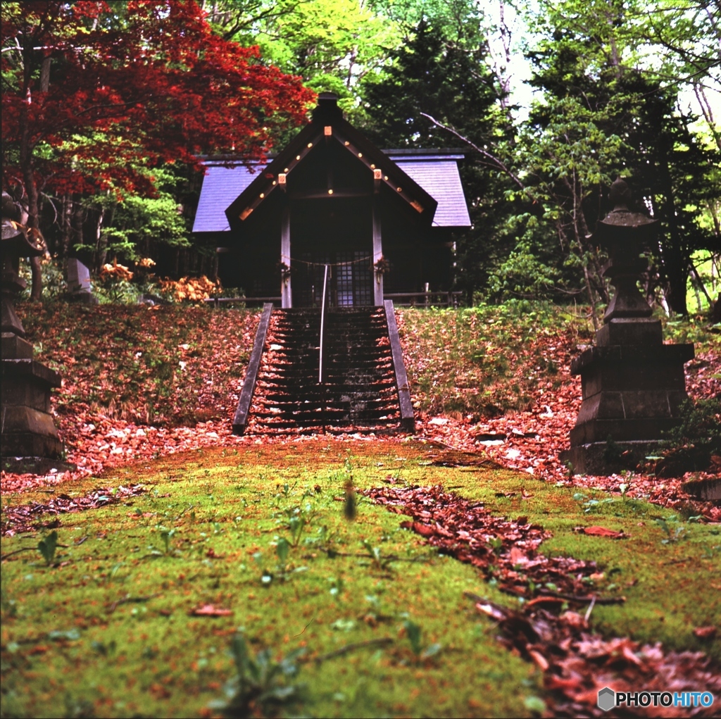 ヤシカマットで撮る、無名神社