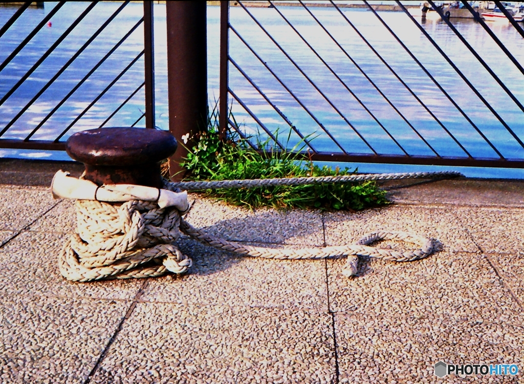 夏の日の臨海公園３