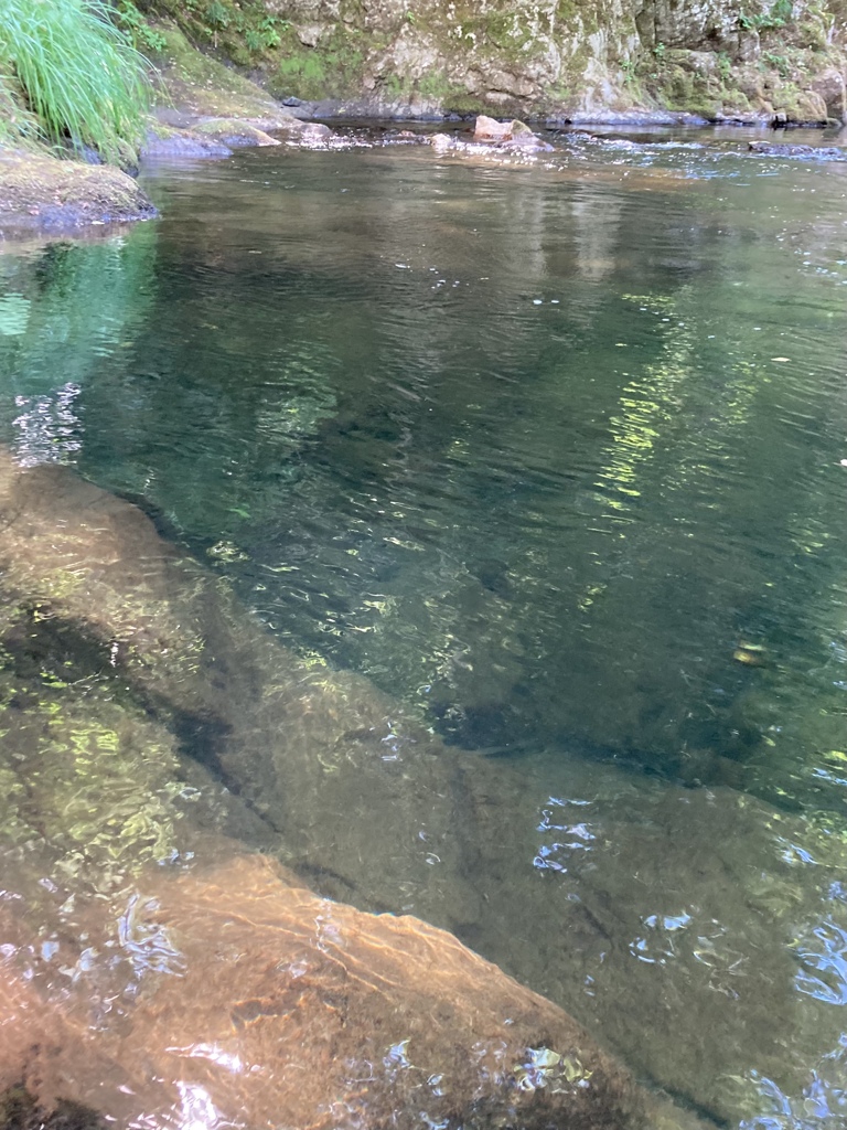 光水面