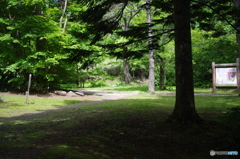 午後の公園・・・