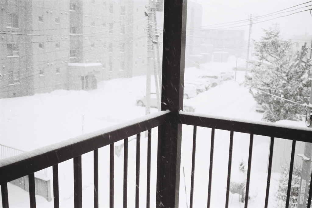 吹雪の日は出たくない！