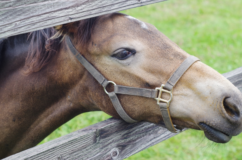 メッセージ・・・・