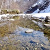 春の河原・・・４