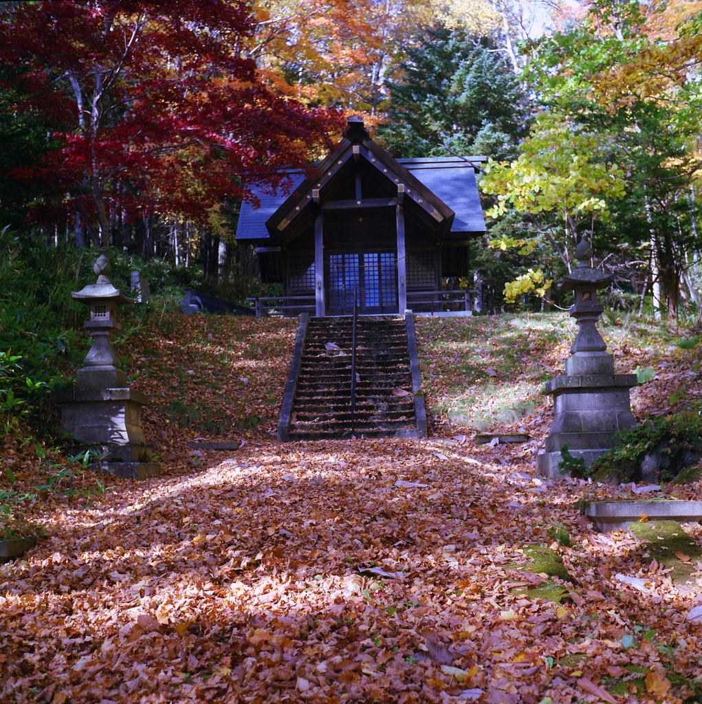 神社の彩・・・