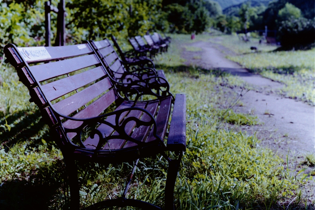 西日あたるベンチ・・・
