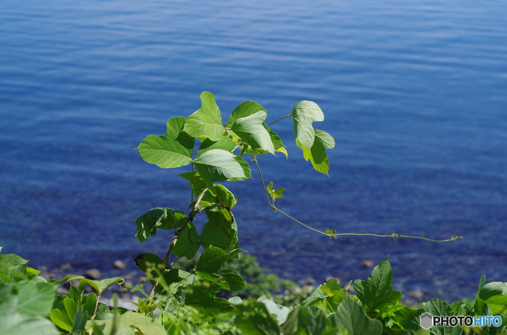 まだまだ伸ばす予定です・・・