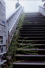 歩道橋の年輪・・・