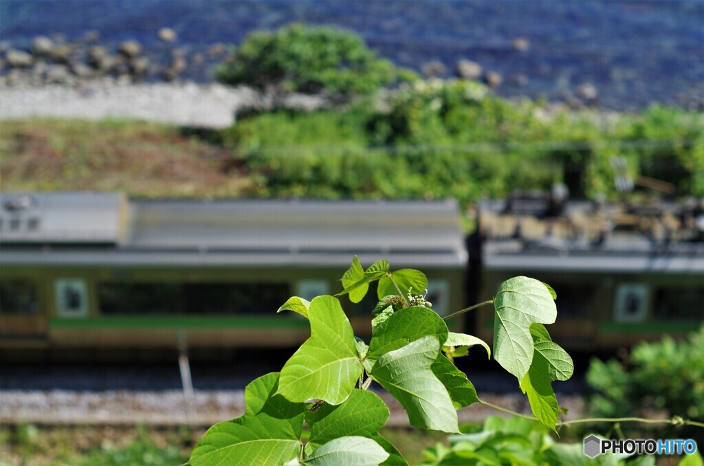 走り去る電車を見ていた・・