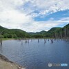 ダム湖畔の静けさ・・・