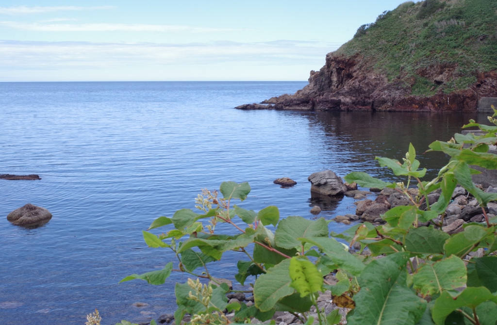 増毛の海は穏やか・・・・