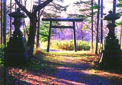 パールⅢで撮る山の神社・・・