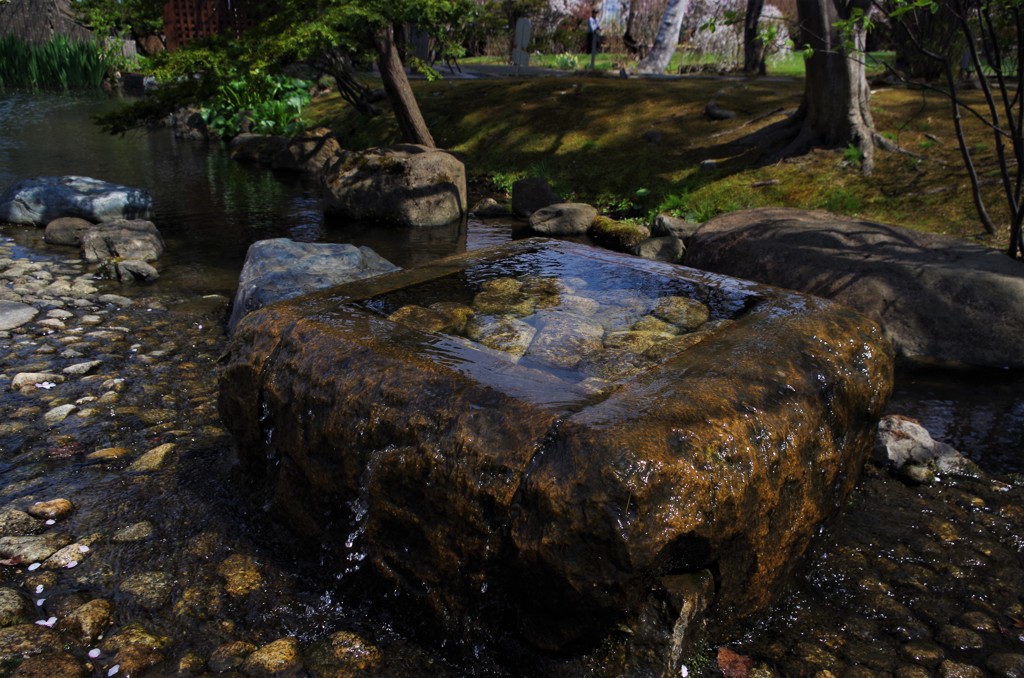 近所の庭園　水場