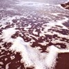 冬の海