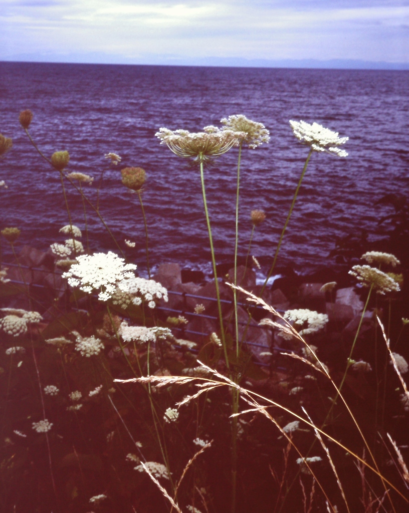 ＤｅｍｉＥＥ１７で撮る前浜・・