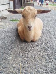 座り込み・・・