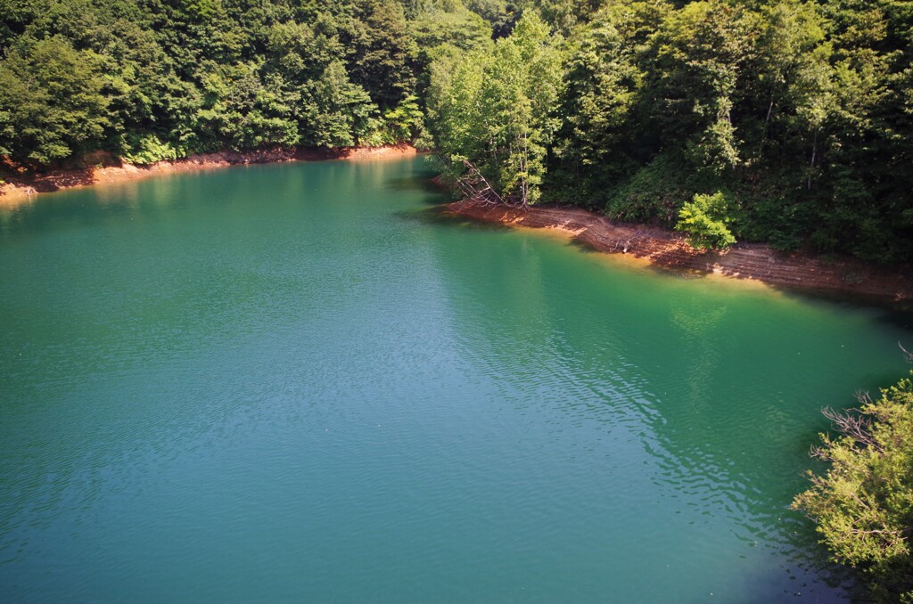 8月のダム湖３