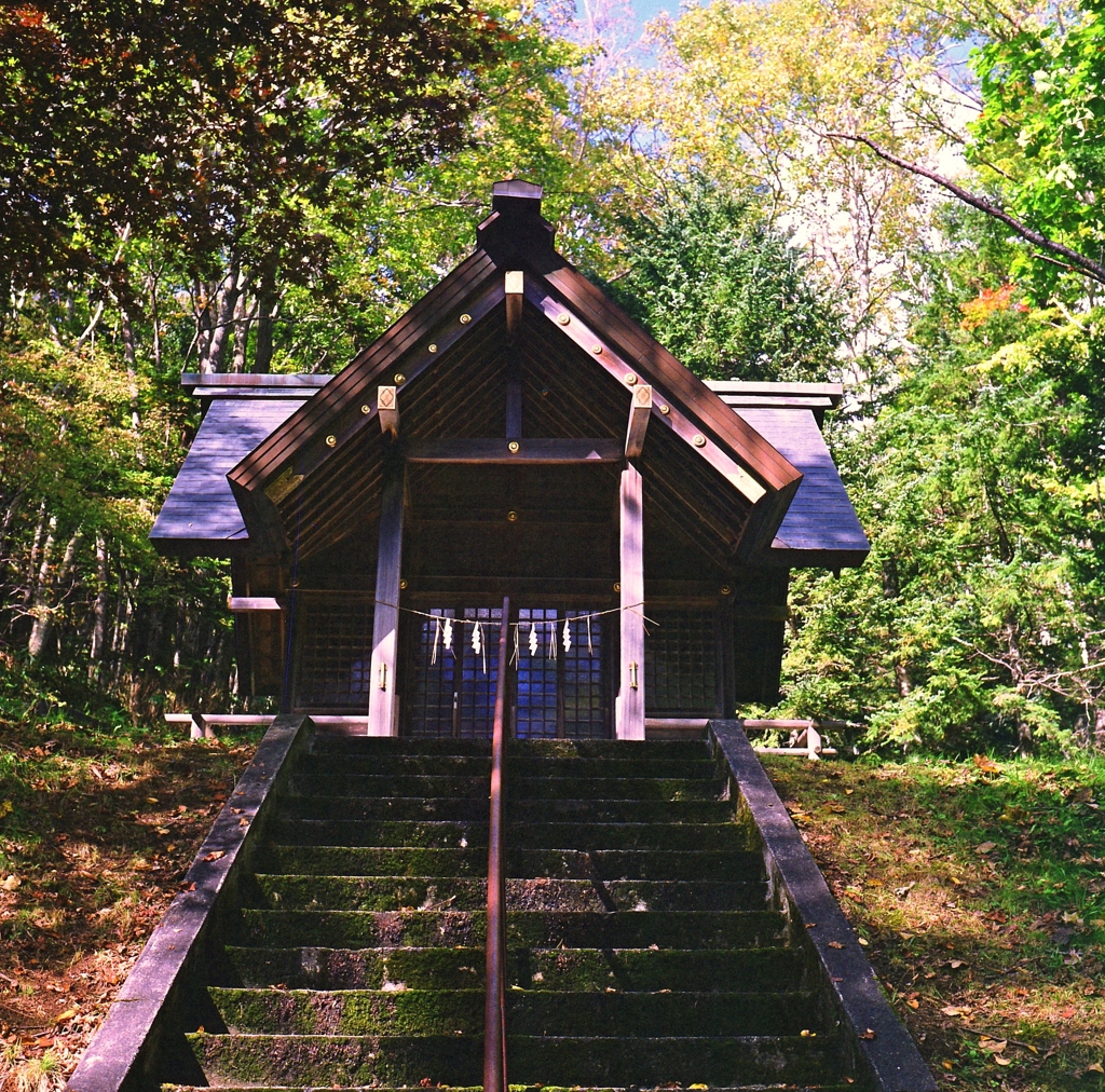 呼ばれてきた・・・