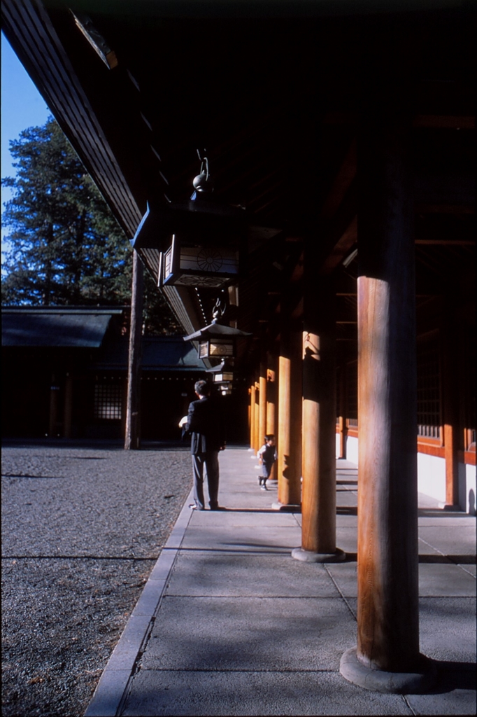 北海道神宮で・・・