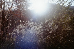PICT0025