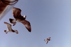 今、撮っただろ！