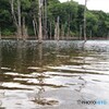 気配・・・