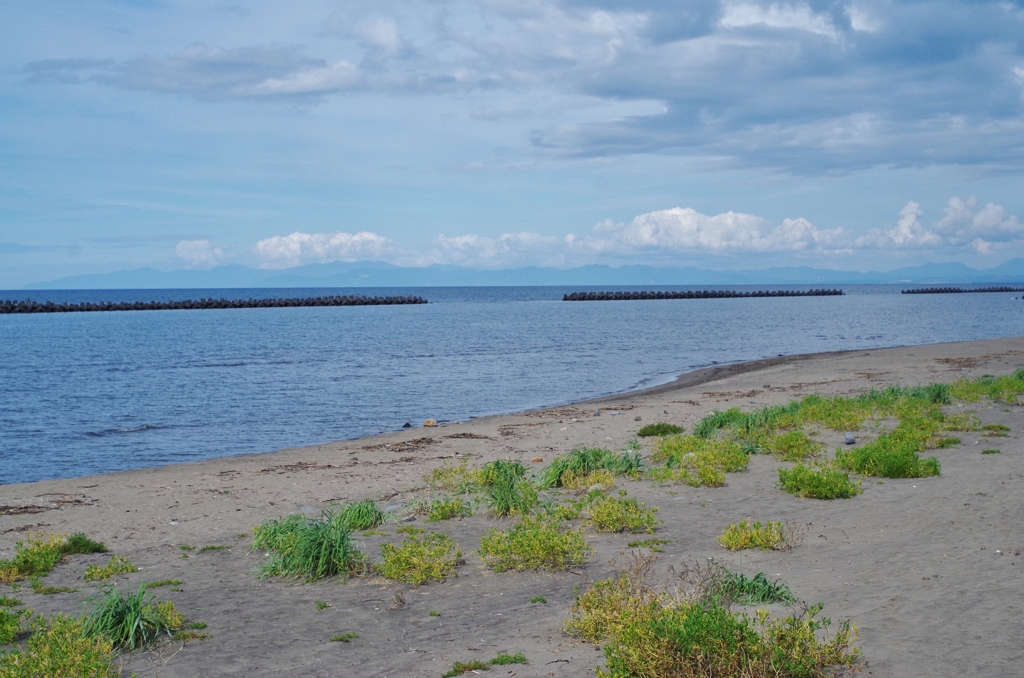 銭函前浜・・・