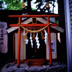 ちっさな鳥居・・・